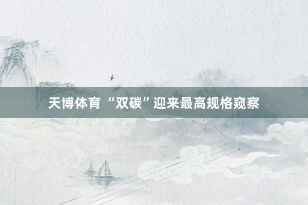 天博体育 “双碳”迎来最高规格窥察