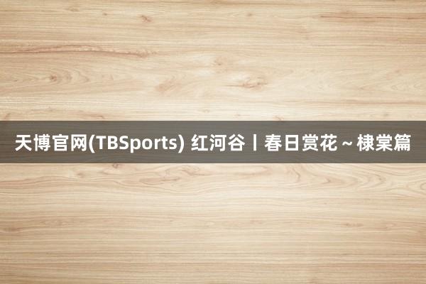 天博官网(TBSports) 红河谷丨春日赏花～棣棠篇