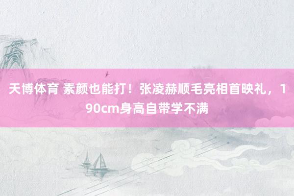 天博体育 素颜也能打！张凌赫顺毛亮相首映礼，190cm身高自带学不满
