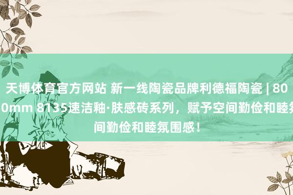 天博体育官方网站 新一线陶瓷品牌利德福陶瓷 | 800x1350mm 8135速洁釉·肤感砖系列，赋予空间勤俭和睦氛围感！