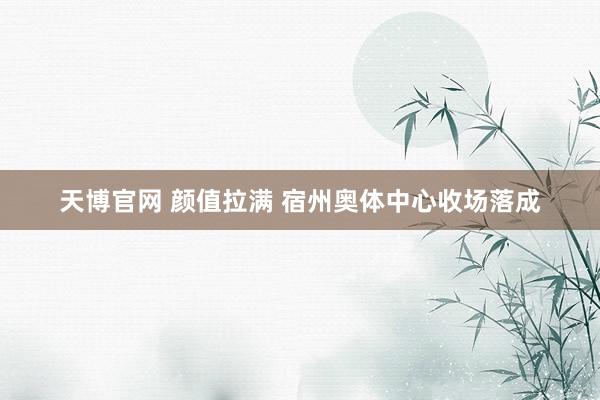 天博官网 颜值拉满 宿州奥体中心收场落成