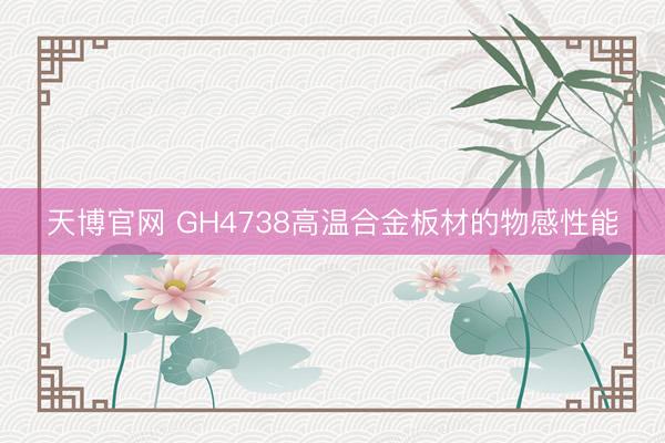 天博官网 GH4738高温合金板材的物感性能