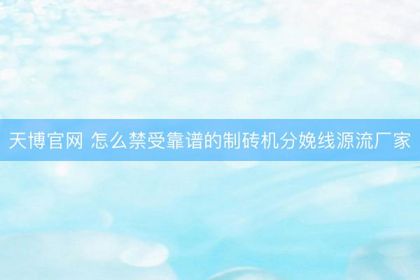 天博官网 怎么禁受靠谱的制砖机分娩线源流厂家