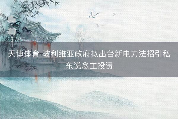 天博体育 玻利维亚政府拟出台新电力法招引私东说念主投资